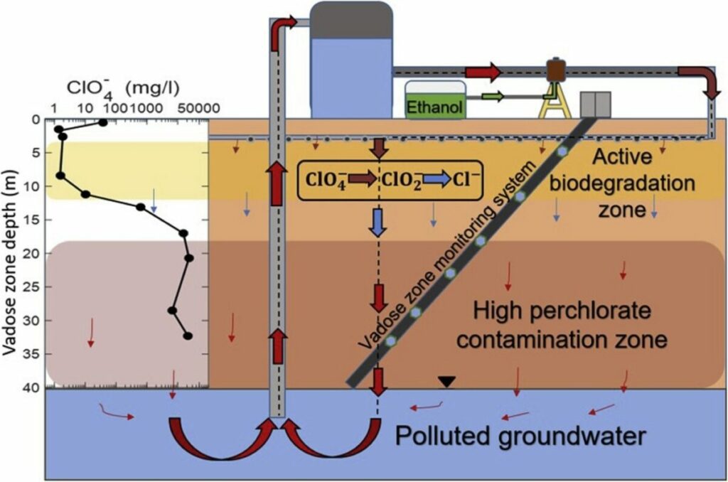 Combined in-situ bioremediation treatment for perchlorate pollution in the vadose zone and groundwater